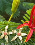 Poinciana Calyx Earrings