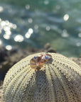 Sea Urchin Studs